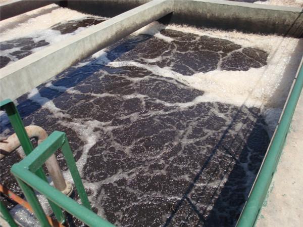 深圳水質檢測公司 第三方