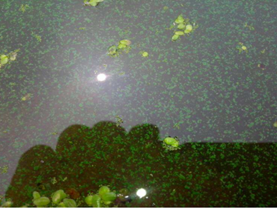 深圳水質檢測機構