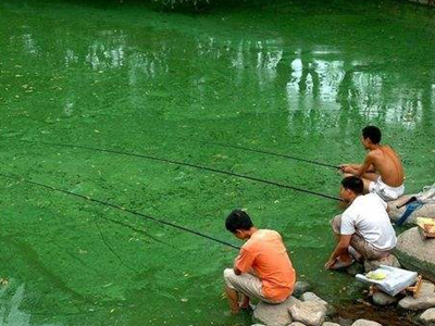 深圳水質檢測 深圳水質檢測