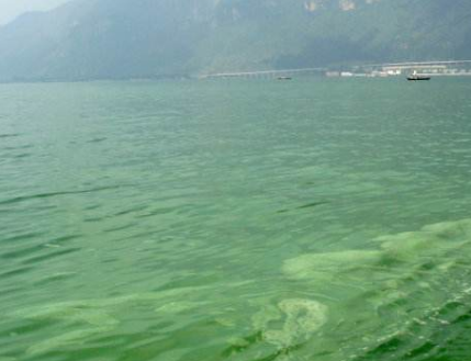 深圳水質檢測機構 深圳水質檢測機構