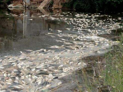 深圳水質檢測 深圳水質檢測