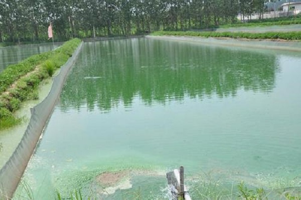 漁業養殖水質檢測